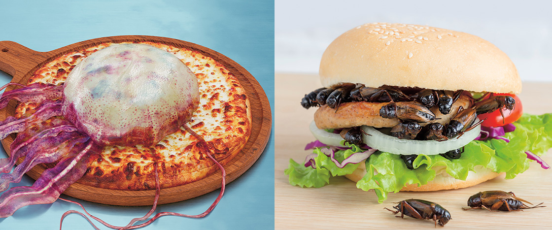 Image of jellyfish pizza and cockroach burger