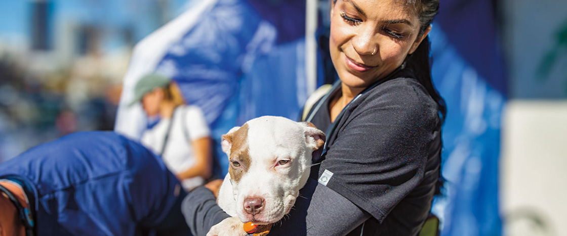 Image of volunteer holding homeless dog