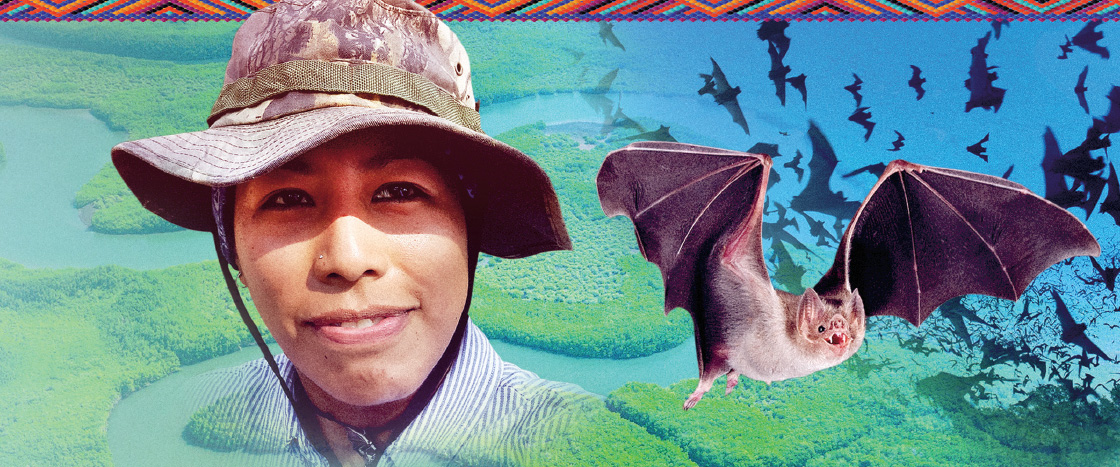 A person in a wide-brim hat beside a bat in flight and a flock of bats in the sky